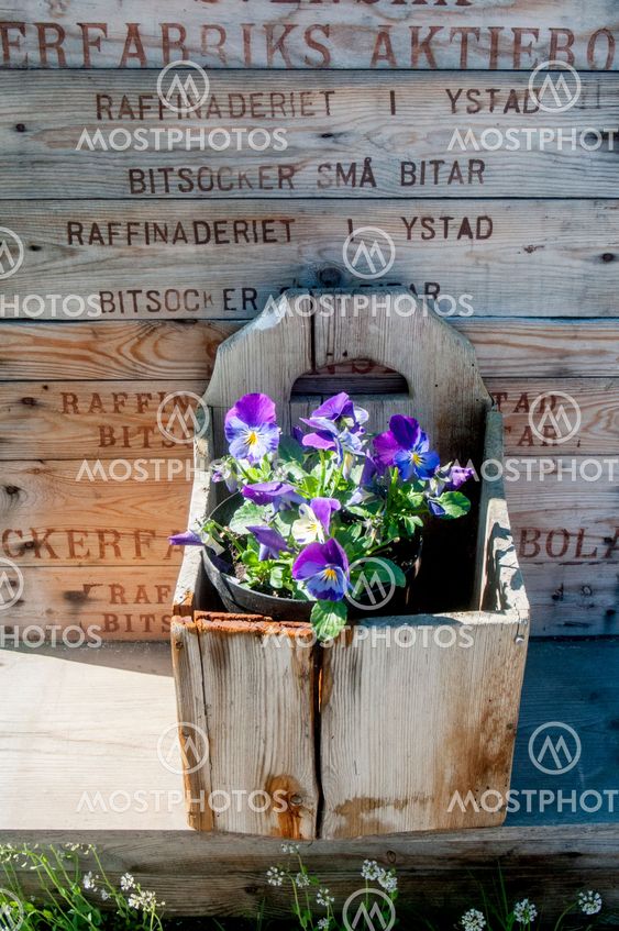 Blomsterarrangemang