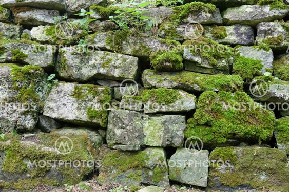 Mossy wall