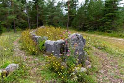 Tjelvars grave, a bronze age monument
