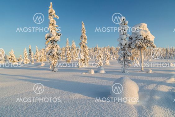 Winter landscape in clear blue sky