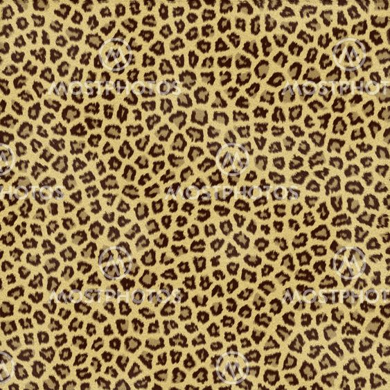 Leopard ihon