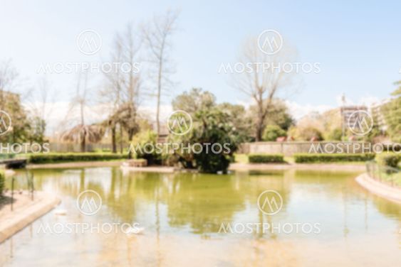 Defocused background of little lake with ducks in public park