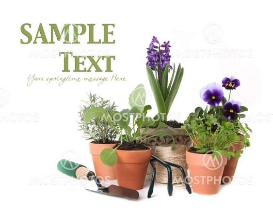 Happy Spring Time Herb Gardening on White Background