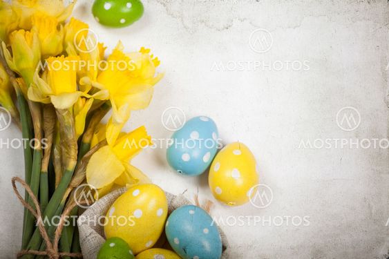 Easter background with painted eggs and blooming daffodils