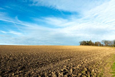 Endless fields in spring