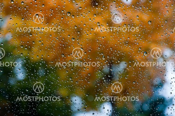 Fall tree perception through raindrops covered glass