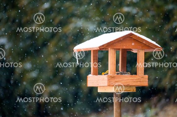 Simple Bird Feeder By Artush Mostphotos