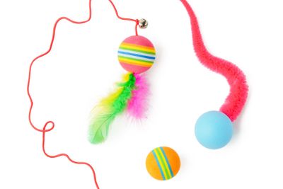 Cat toys isolated on white background studio shot