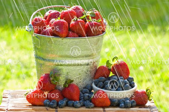 Fresh Strawberries in the Rain
