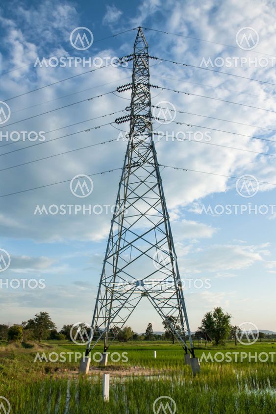 High voltage pylon in paddy