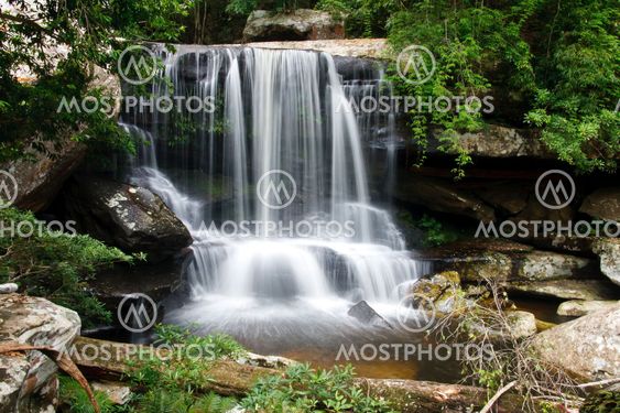 Beautiful rain forest and waterfall