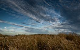 Clouds over grass on sand dunes