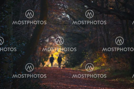 Two people walking through a tree lined tunnel