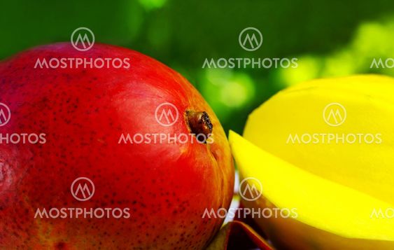Sliced mango on green background