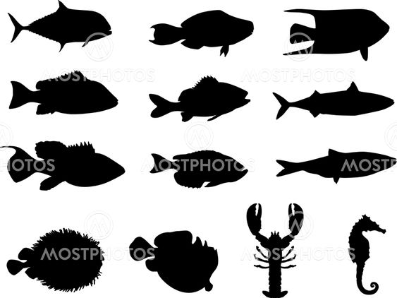 Fish and sea life silhouettes