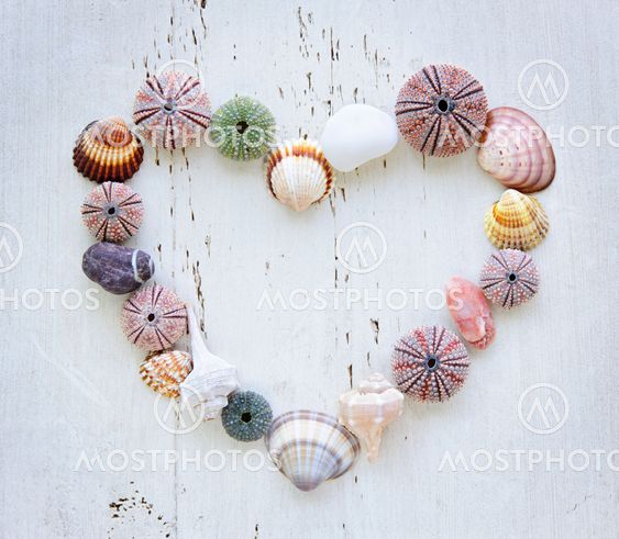 Heart of seashells and rocks