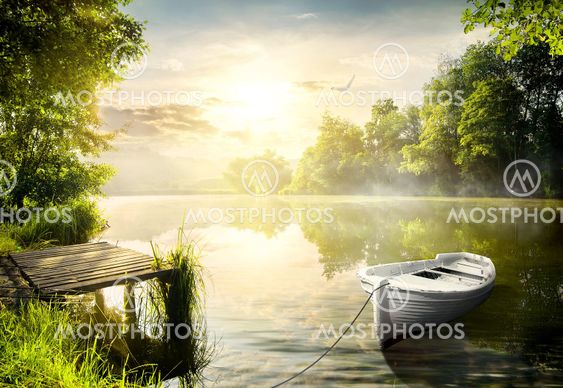 Boat on the bank