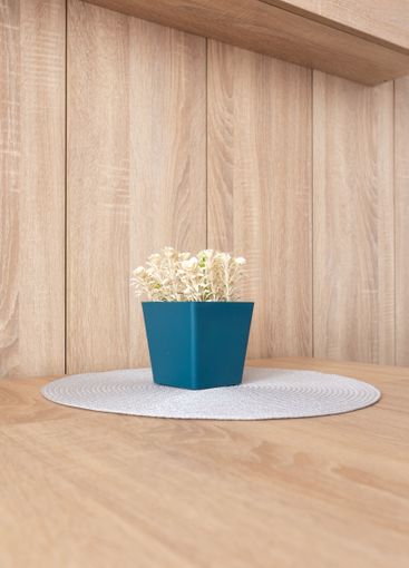 Dried plants in flowerpot, Home Interior Decor
