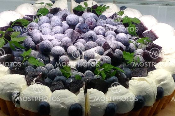 Blueberrry cake from Sidney, Australia