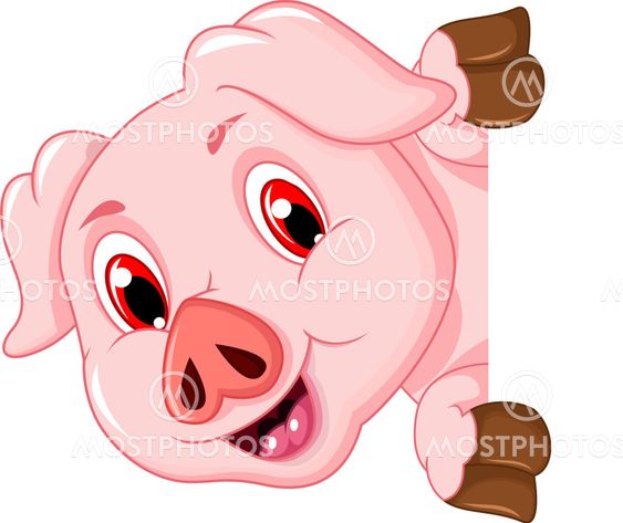 funny pig cartoon holding blank sign