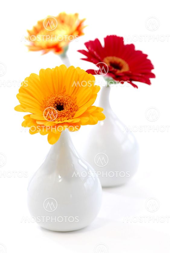 Interior design vases