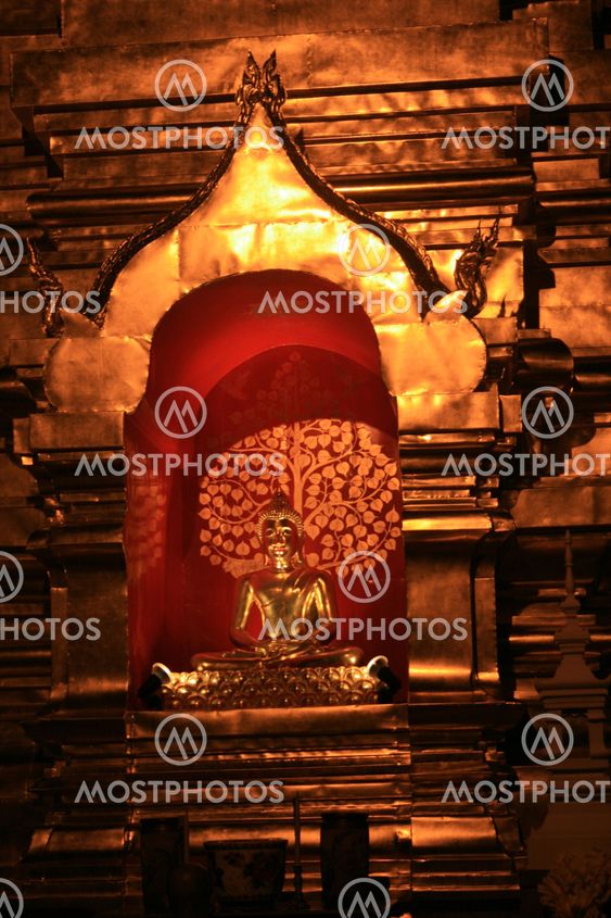 Night Buddha