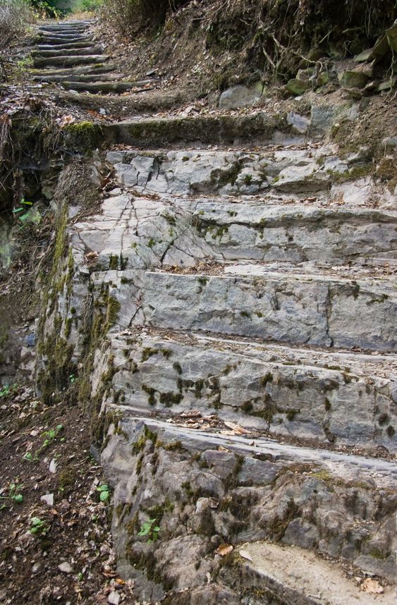 Stairs to climb up a hill in the forest