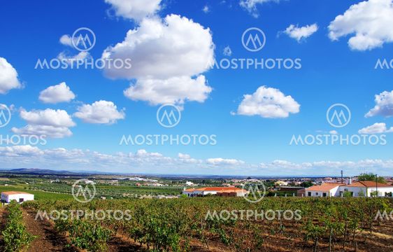Landscape of agricultural field, Reguengos de Monsaraz