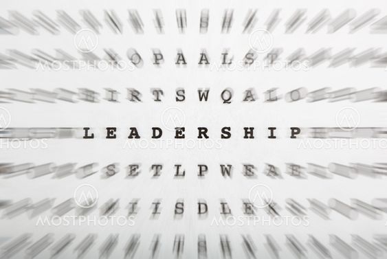 Crossword letters, focus on word leadership