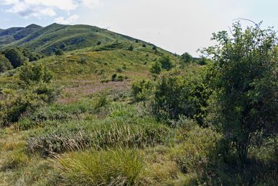 Summer landscape of Belasitsa Mountain, Bulgaria