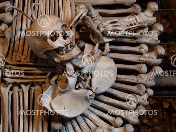 Human skull and bones