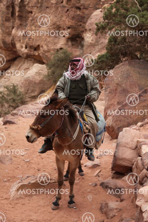 Jordanian Guide 1
