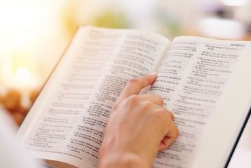 Person, bible book and closeup with hands, reading or...