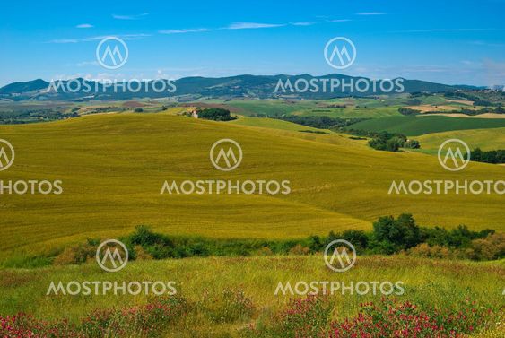 Landschaft in der Toskana, Italien - Landscape in tuscany, italy