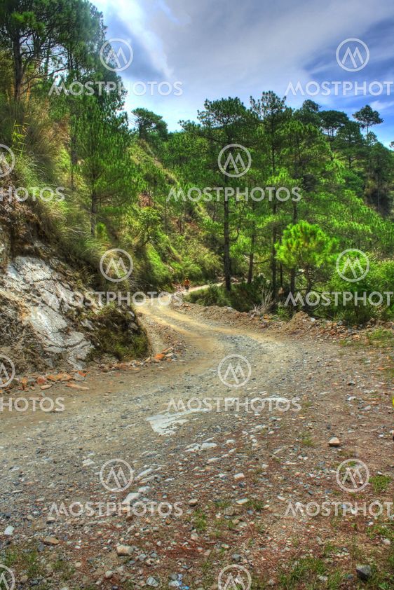 The Road