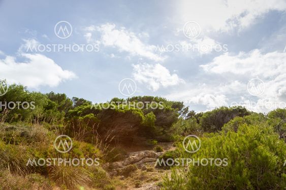 Wonderful dune landscape Cala Mesquida Mallorca Spain
