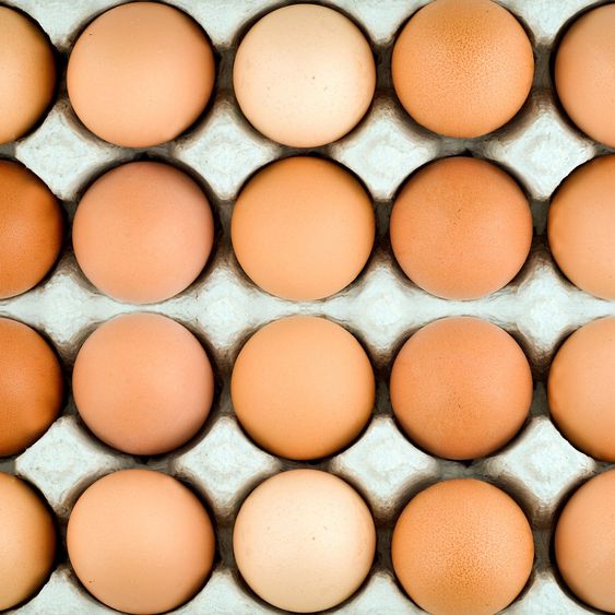 Chicken egg background
