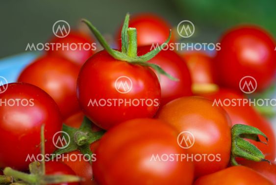 Tomatoes