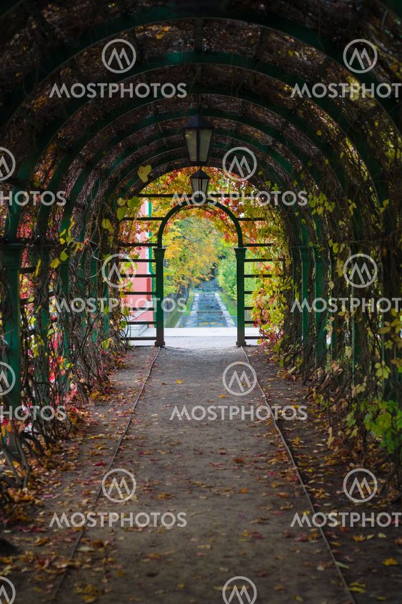 Inside arch with autumnal time lianes and lanterns