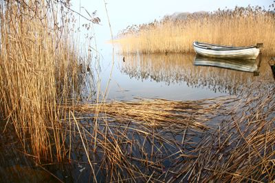 View on a beautiful  lake in scandinavia in denmark 