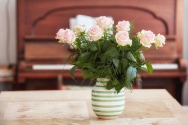 Bouquet, roses and vase for decoration at house as...