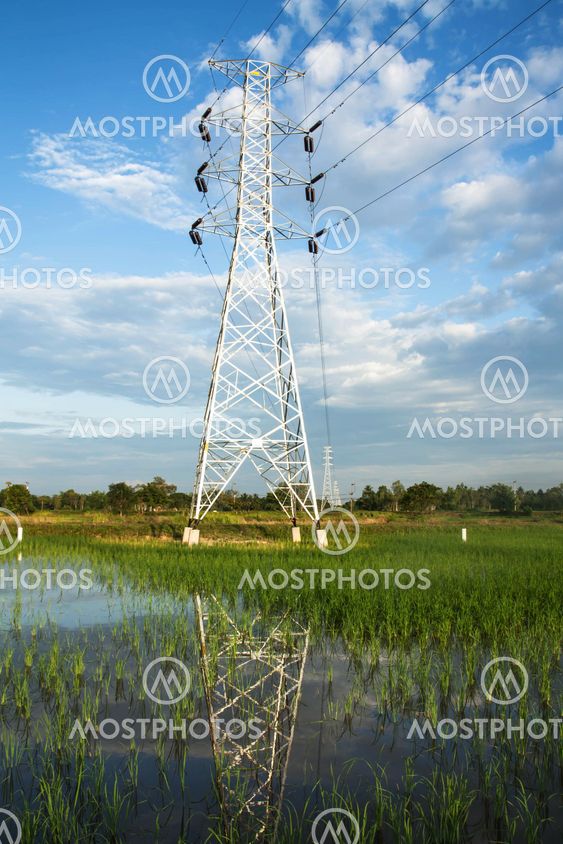 High voltage pylon in paddy