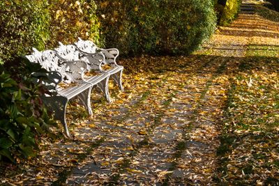 Autumn in Marabou parc, Sweden 