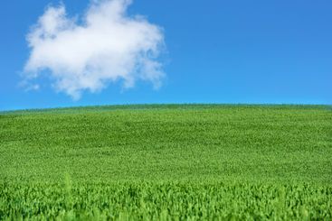 Meadow, blue sky and grass in green field landscape for...