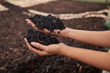 Farm, nature and hands of person with soil for growth,...
