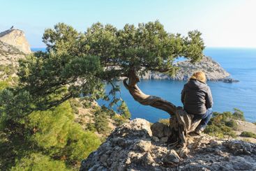 The girl is sitting on the trunk of a juniper tree and...