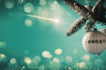 Christmas banner with decorated fir branch