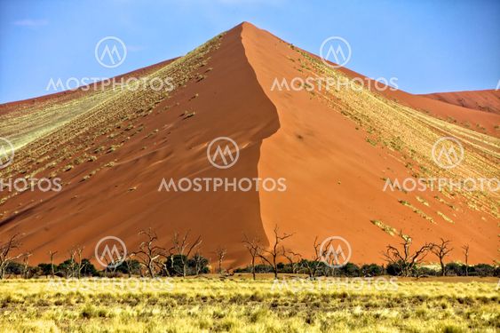 vast orange dune at Sossusvlei namib naukluft park namibia africa