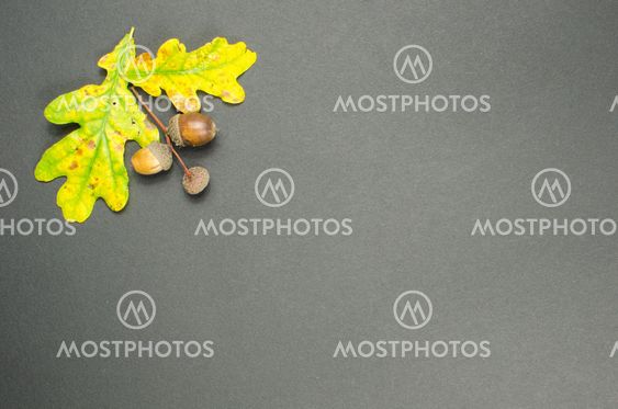 Colorful fall decoration