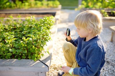 Little child exploring nature with magnifying glass in...